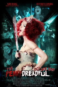  The Penny Dreadful Picture Show (2013) Poster 