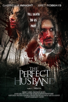  The perfect husband (2014) Poster 