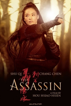  The Assassin (2015) Poster 