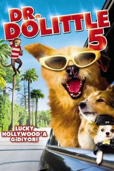  Il dottor Dolittle 5 (2009) Poster 