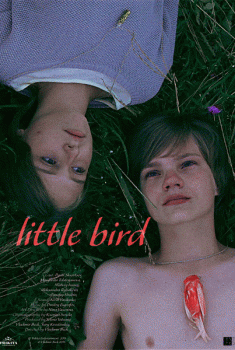  Little Bird (2015) Poster 