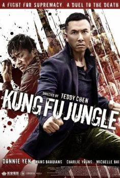  Kung Fu Jungle (2014) Poster 