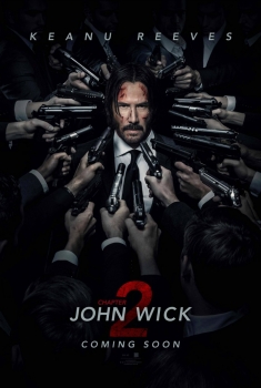  John Wick 2 (2017) Poster 