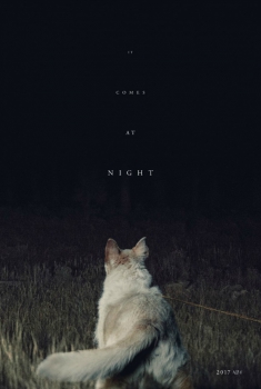  It Comes at Night (2017) Poster 