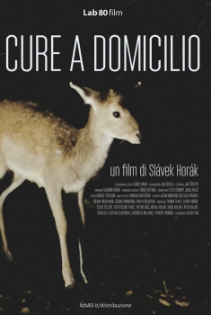  Cure a domicilio (2015) Poster 